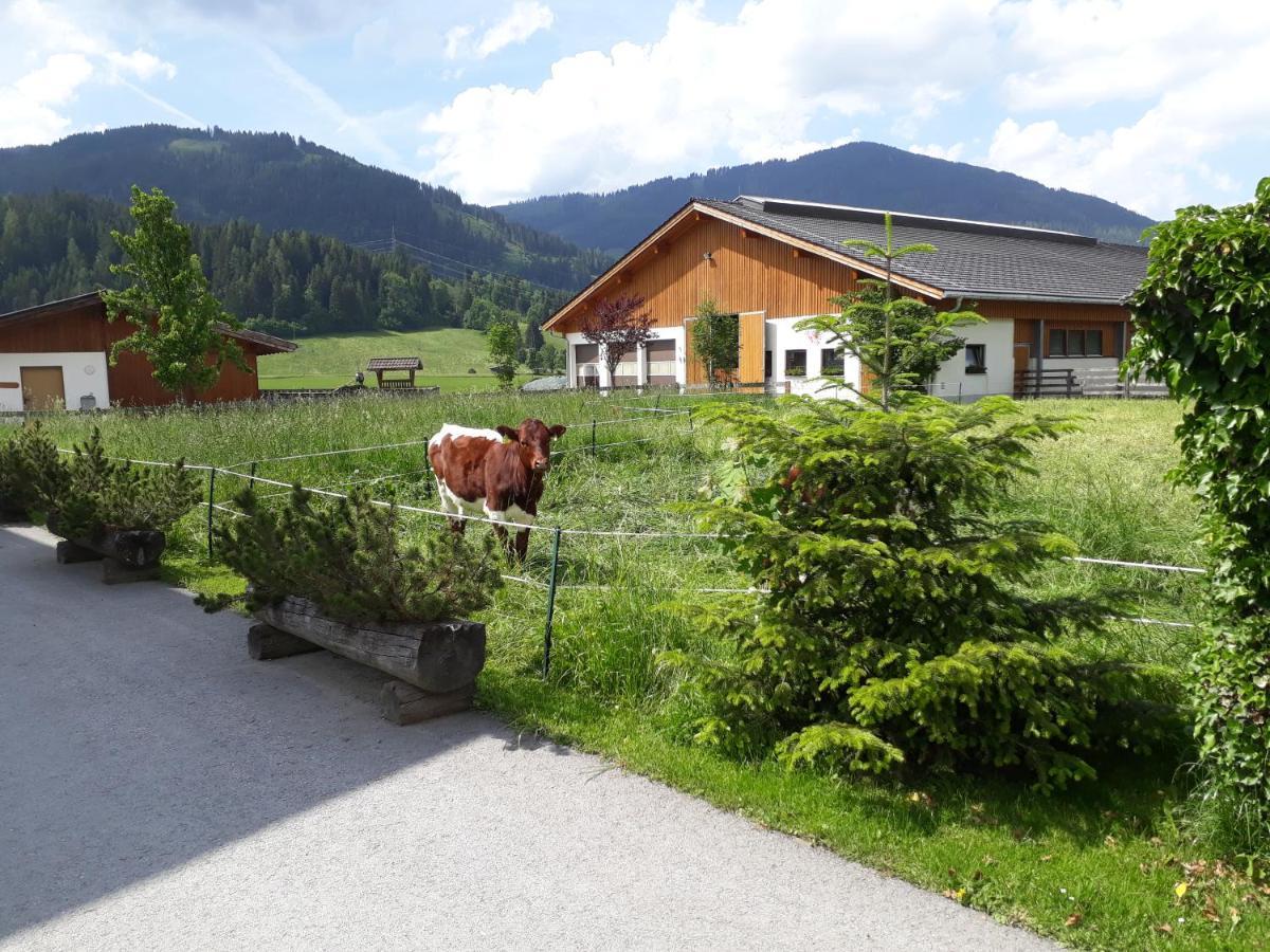 Landhaus Fingerhof Flachau Exterior foto
