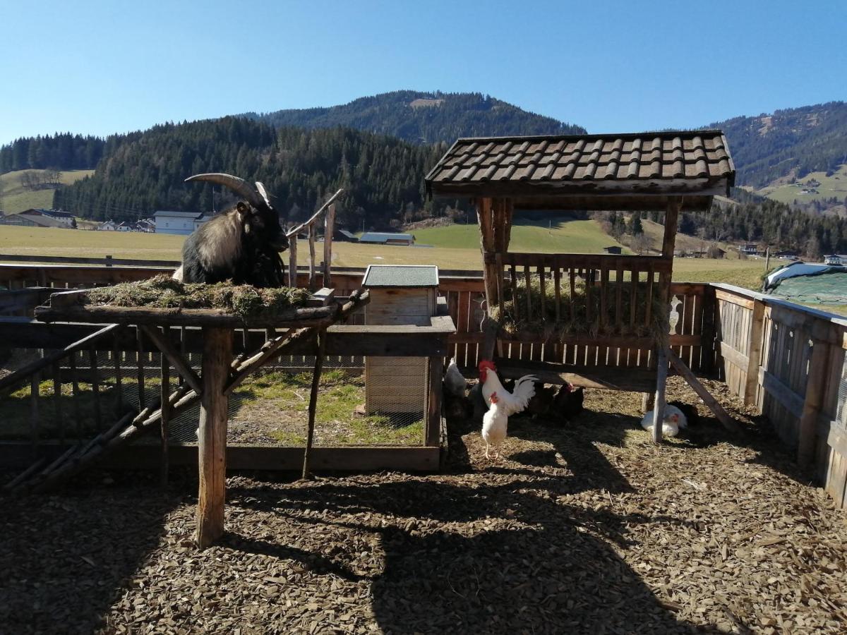 Landhaus Fingerhof Flachau Exterior foto